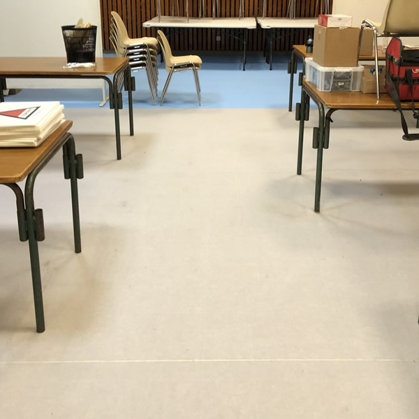 moquette6.jpg